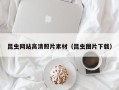 岑溪昆虫网站高清照片素材（昆虫图片下载）
