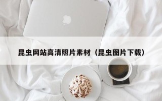 岑溪昆虫网站高清照片素材（昆虫图片下载）